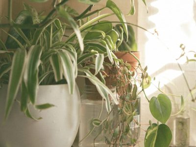 elly-m-XKCjXQKKG_o-unsplash